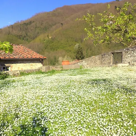 A Casa Di Baldo Guest house