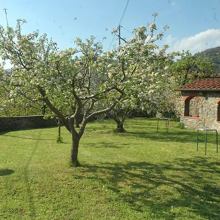 Guest house A Casa Di Baldo Borgo a Mozzano